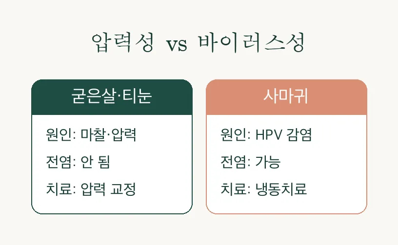 티눈 굳은살 사마귀 구분, 원인부터 치료까지 알아보기 관련 이미지 2